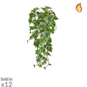 HIEDRA BICOLOR IGNIFUGA 55CM RF. TL2965